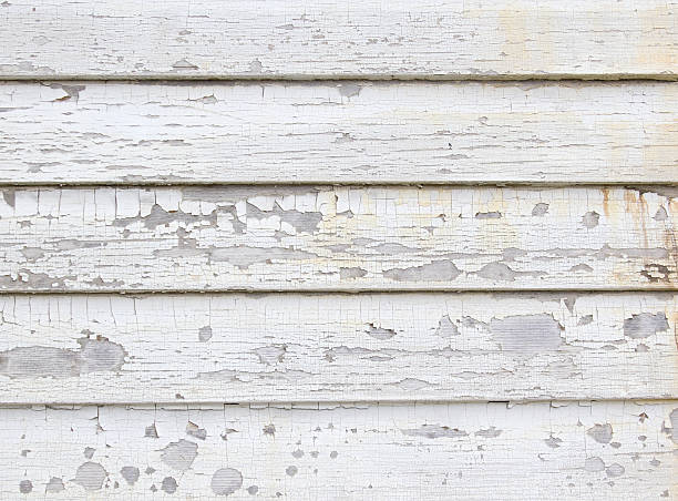 Best Shed Removal  in Brookhaven, GA
